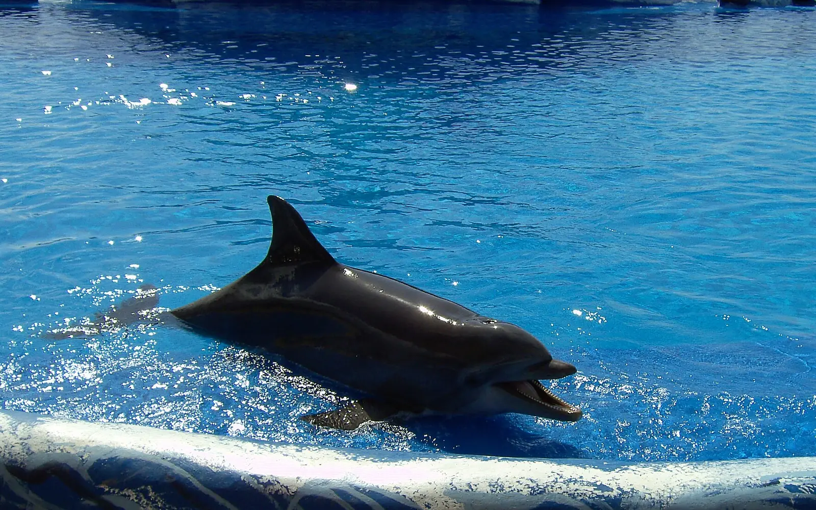 Aqualand
