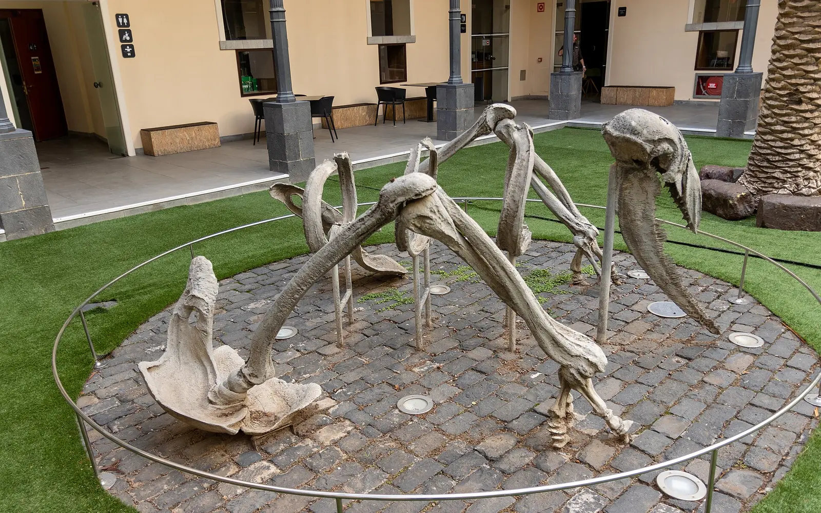 Museums and Palmetum
