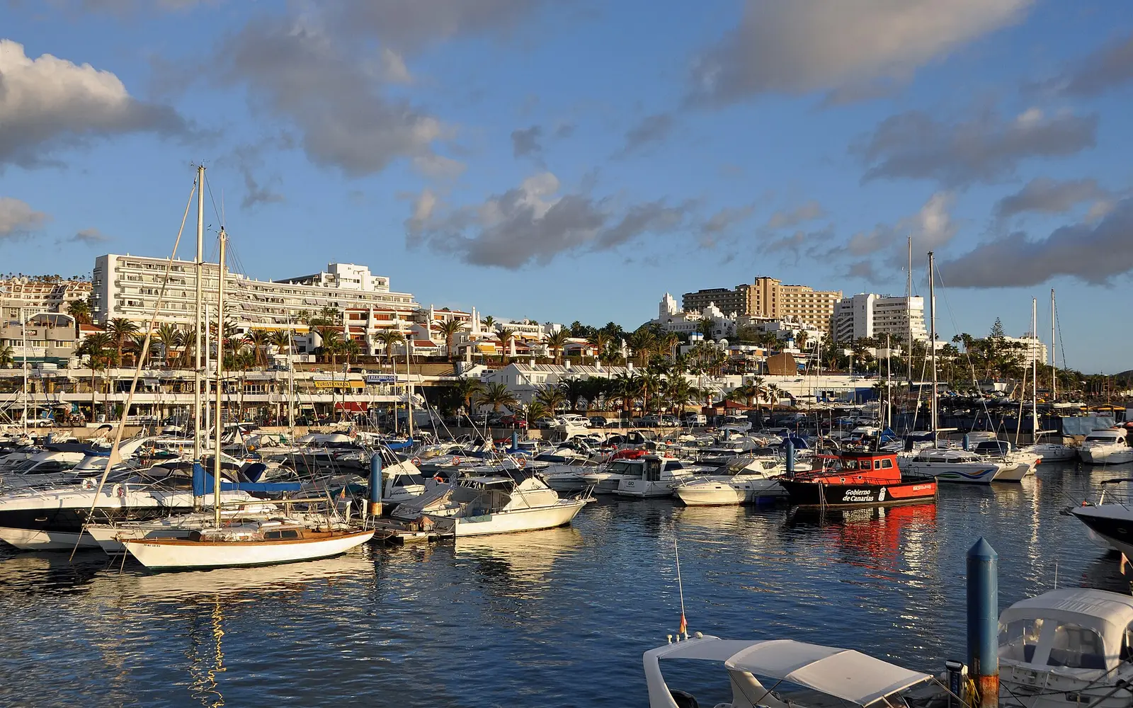 Ballenas en Costa Adeje