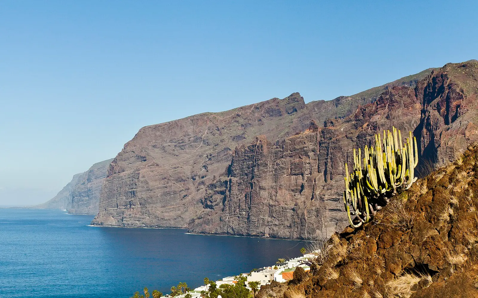 Ballenas en Los Gigantes